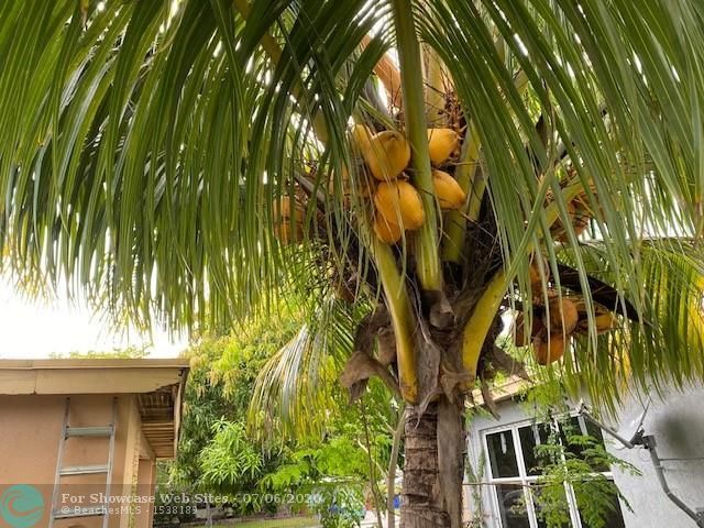 Remodelled house for sale!